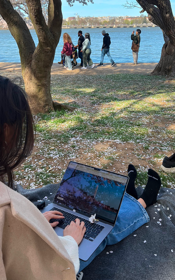Building DC Blossoms on a laptop by the Tidal Basin