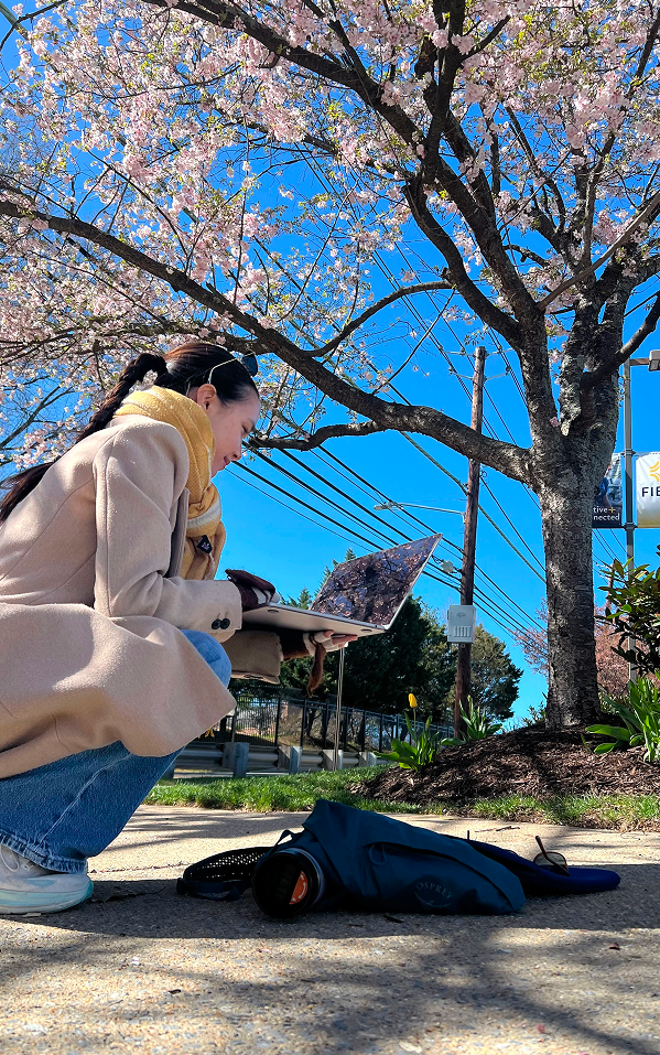 Coding DC Blossoms beneath a cherry blossom tree