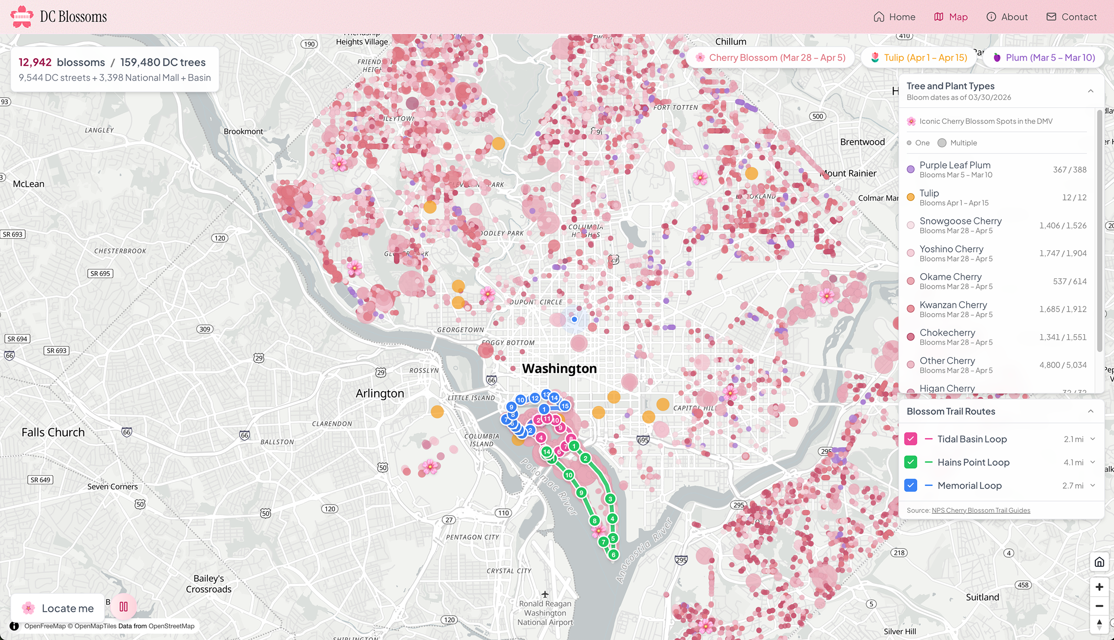DC Blossoms city-wide map showing blossoms and trail routes across Washington, D.C.